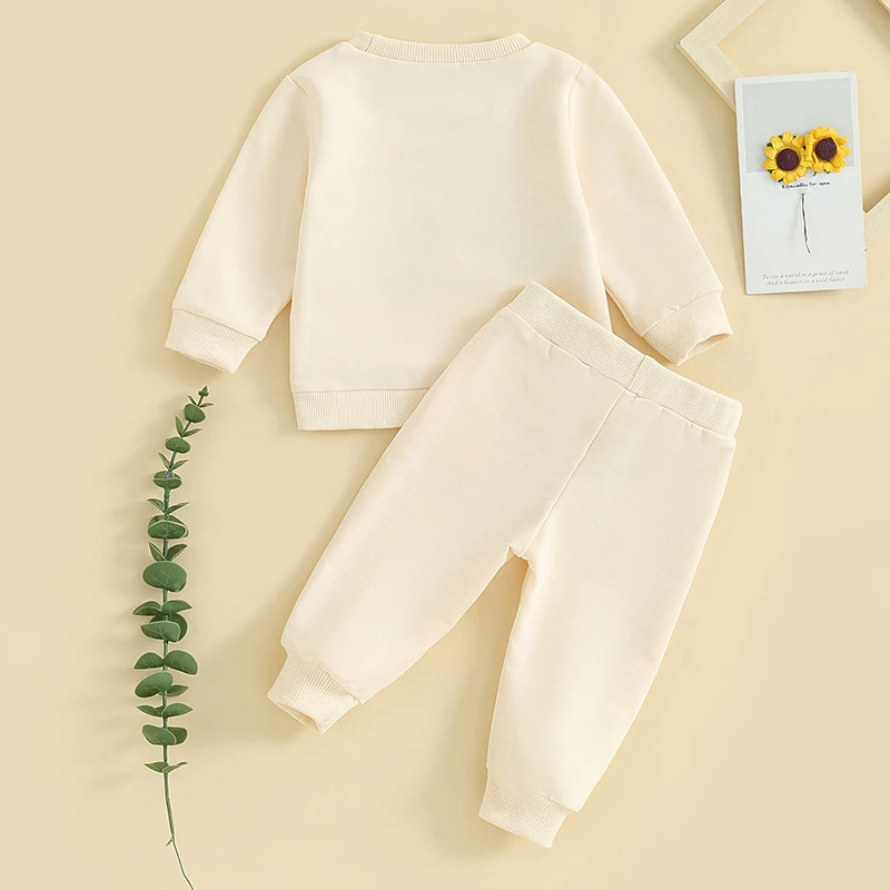 Tregren 0-3Y Toddler Baby Girls Outfit Plush Letter Embroidery Long Sleeve Sweatshirt Elastic Pants 2pcs Set Infant Fall Clothes