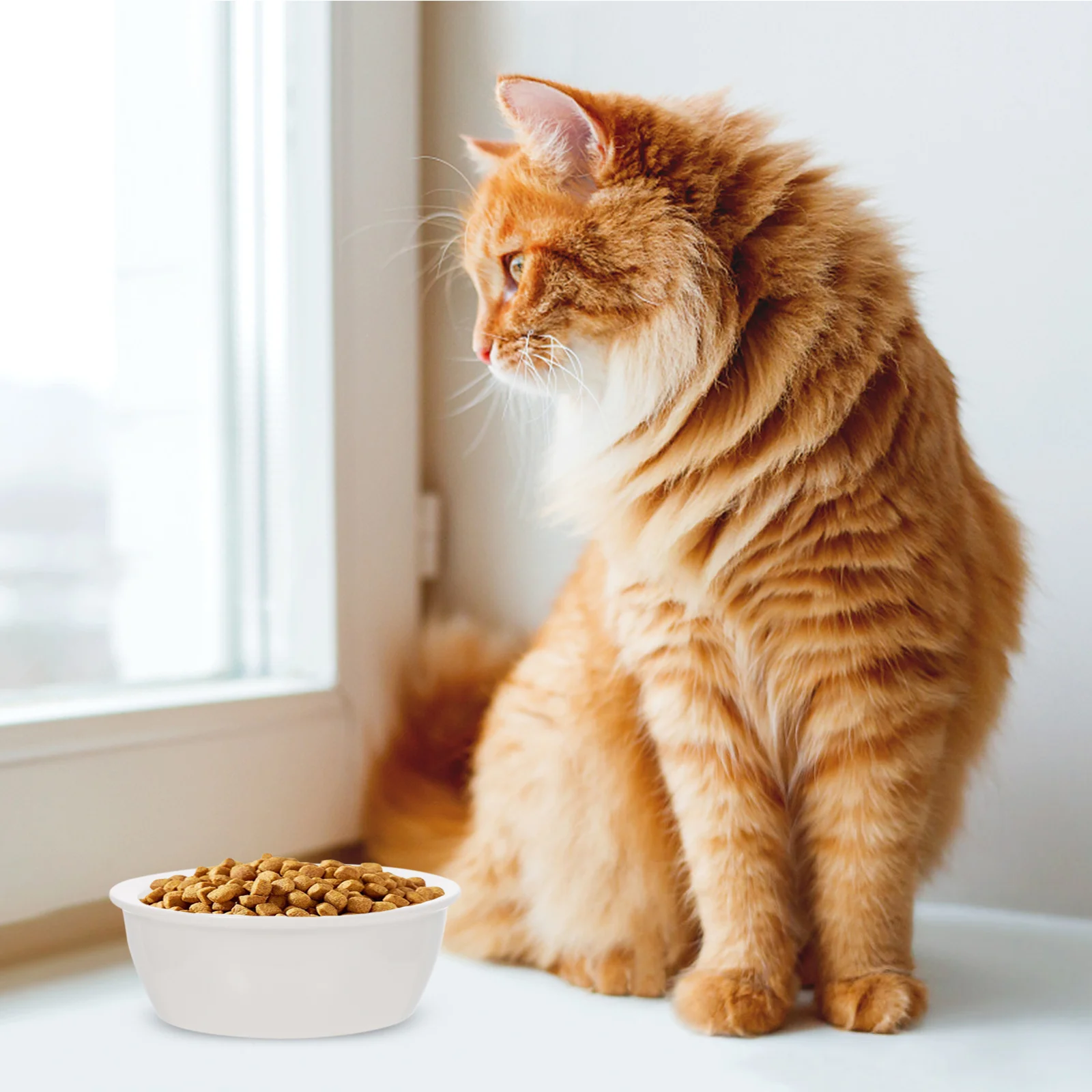 

2Pcs Ceramic Pet Drinking Bowls Small Dog Cat Feeder Double Puppy Bowls Creative Design Pet Supplies Cat Bowl Puppy Feeder