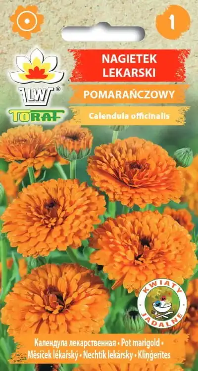 Graines de fleurs orange souci pour fleurs de terrasse de maison et de jardin