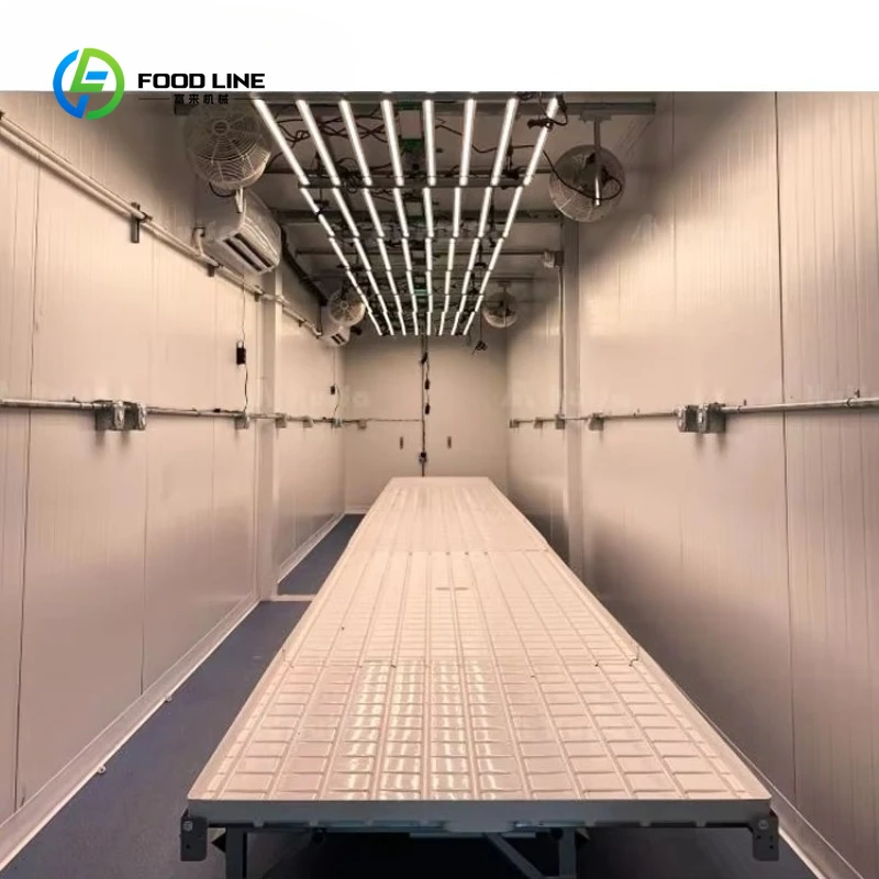 Customized 40ft Commercial Hydroponic Container Plant Factory For Leafy Vegetables And Sprouts