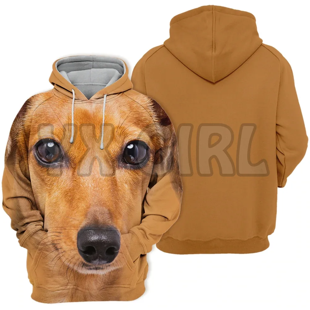 Animals Dogs Dachshund Sausage Dog 3D Printed Hoodies  Unisex Pullovers Funny Dog Hoodie Casual Street Tracksuit