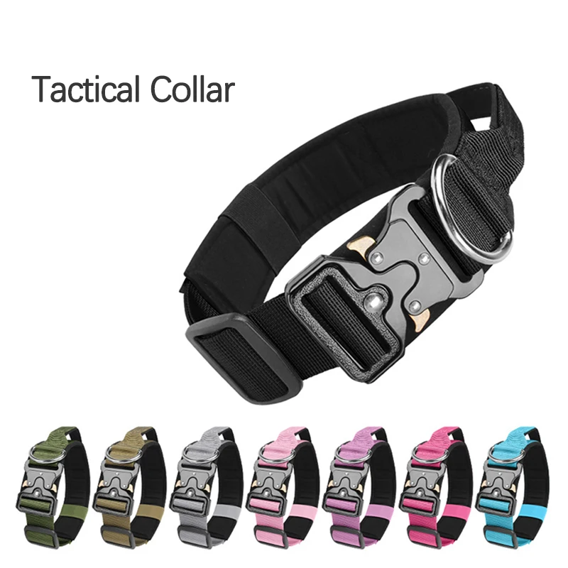 Thumbnail 2 - #56 Best Adjustable Pet Collars to Buy In 2026
