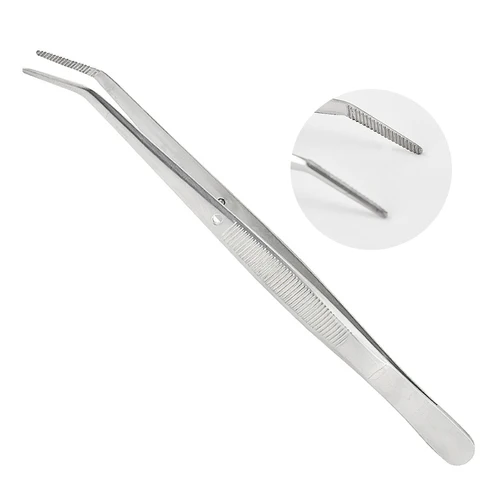 Imagen 2 del producto Pinzas de algodón Dental de acero inoxidable, Clip de relleno, pinzas para decoración de uñas, instrumentos quirúrgicos médicos profesionales, 10 y 20 piezas
