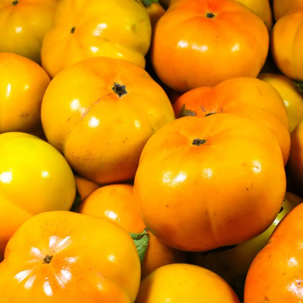 Producción nacional coreana, Buui Jinyeong Dan-Gam (variedad) Personas de tamaño pequeño a mediano, 5 kg, aproximadamente 35 frutas.