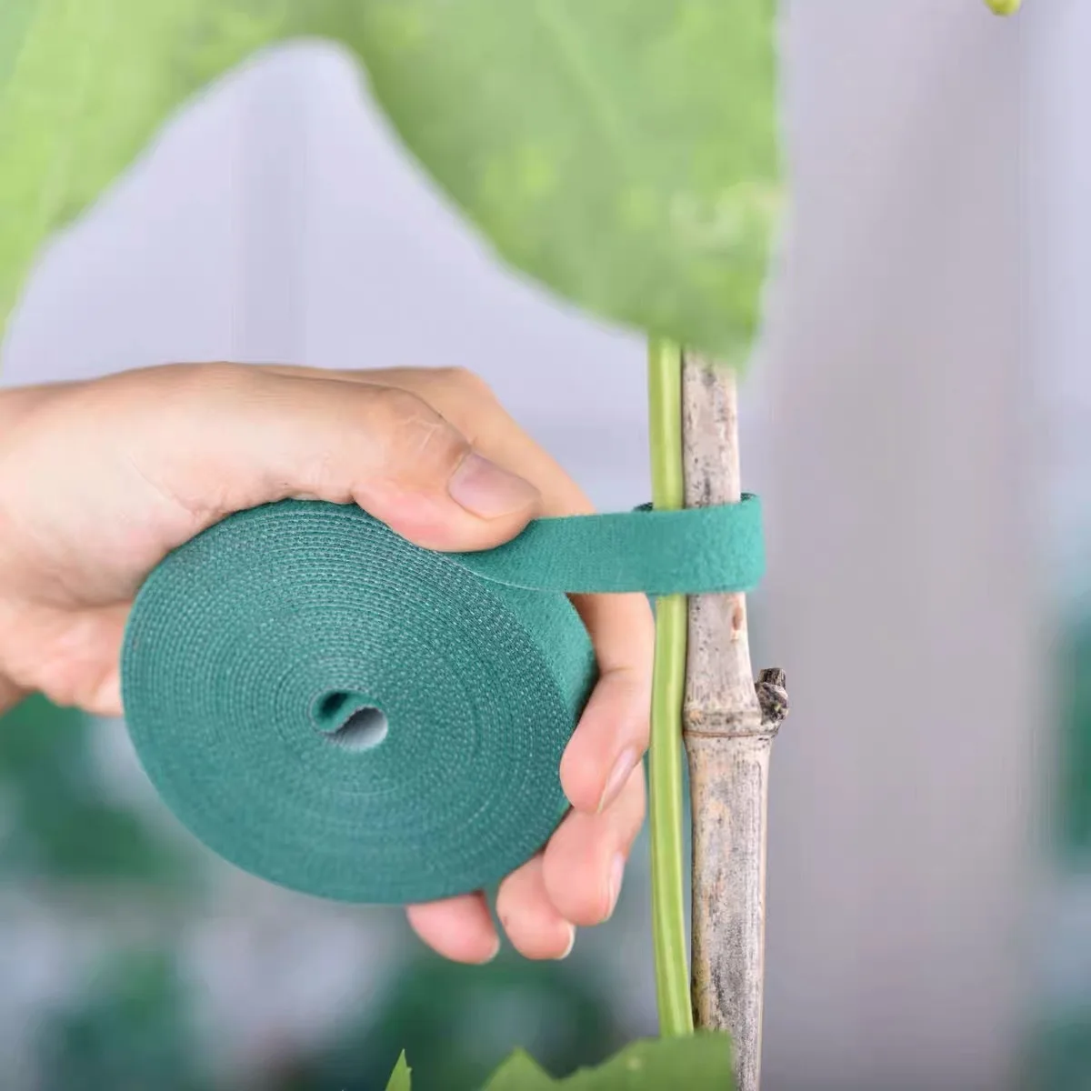 Nylon Self Adhesive Plant Cable Tie Adjustable Green Plants Hook Loop Support Twine Bandage Reusable Fastener Tape Strips Garden