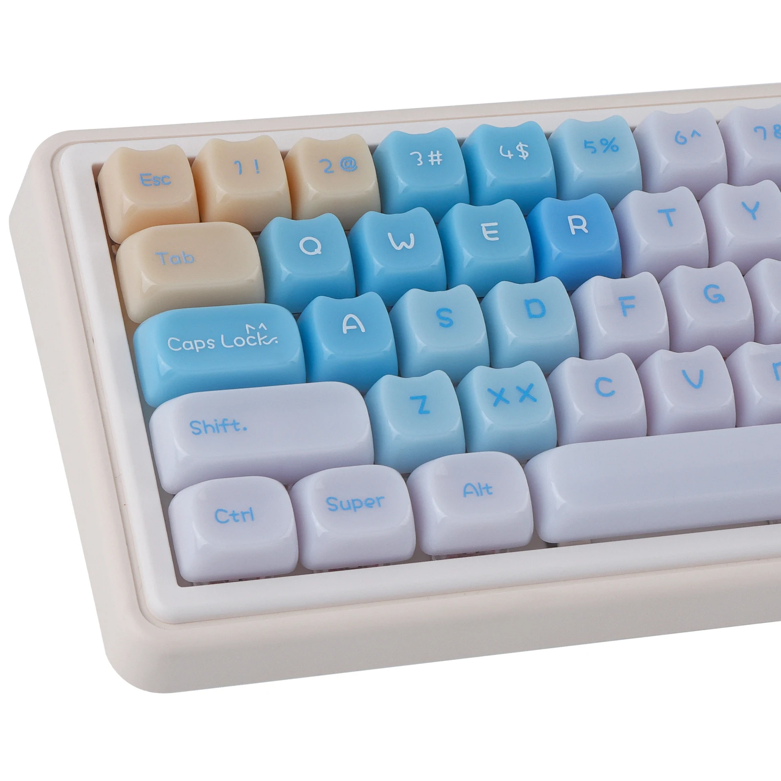 

Sea Salt Cat Translucent Keycaps Set - 148 Keys PC Material MAO Profile for Mechanical Keyboards