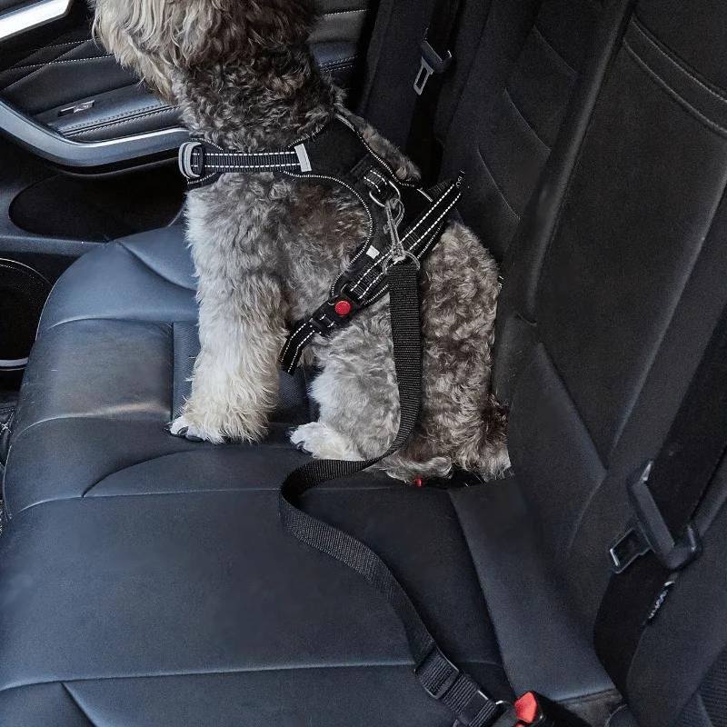 2PCS Adjustable Retractable Pet Car Seat Belt for Dogs and Cats - Keep Your Pets Safe and Secure While Driving