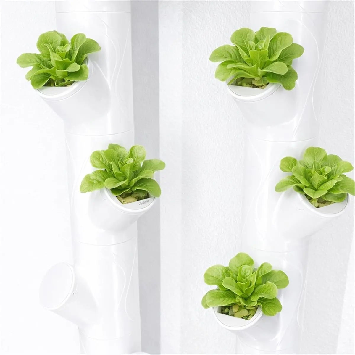 12 Pcs Hydroponic Grow Cubes for YCube Ideal for Indoor Garden Supplies