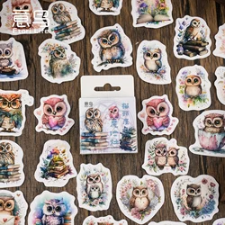 46Pcs Magic Owl Retro style box Decal decorative water cup notebook skateboard DIY decal classic toy