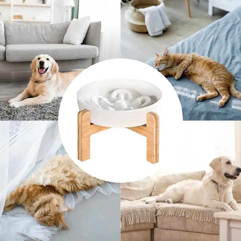 Raised Dogs Bowls Spill Proof Pet Bowl with Wooden Stand Ceramic Cat Feeding Bowl Anti Slip Dog Food Container Feeding Supplies