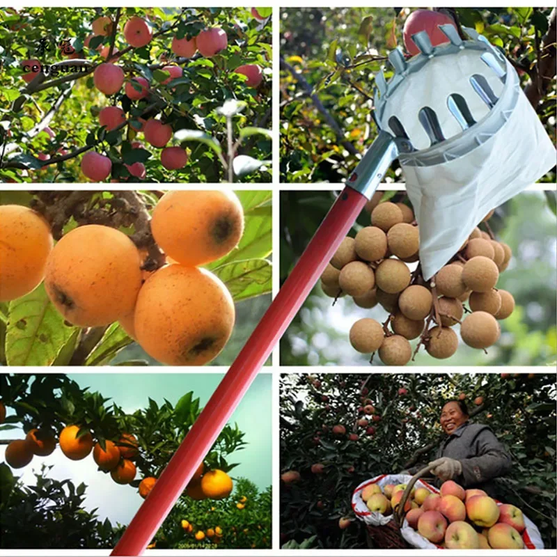 Garden Basket Fruit Picker Head Plastic Fruit Picking Catcher Agriculture Orchard High-altitude Bayberry Jujube Picking Tool