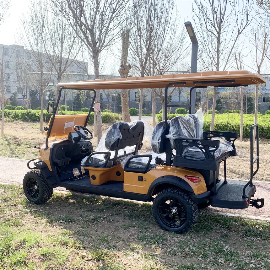 2024 Promotion 72V Conversion Kit 7kW AC High Power Motor Hunting Cart All Area Cart Electric Golf Cart