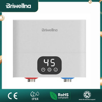 Briwellna Mini Tankless Electric Water Heater 110V/220V Under Sink Instant Hot Water Oversink Instantaneous Water Heater