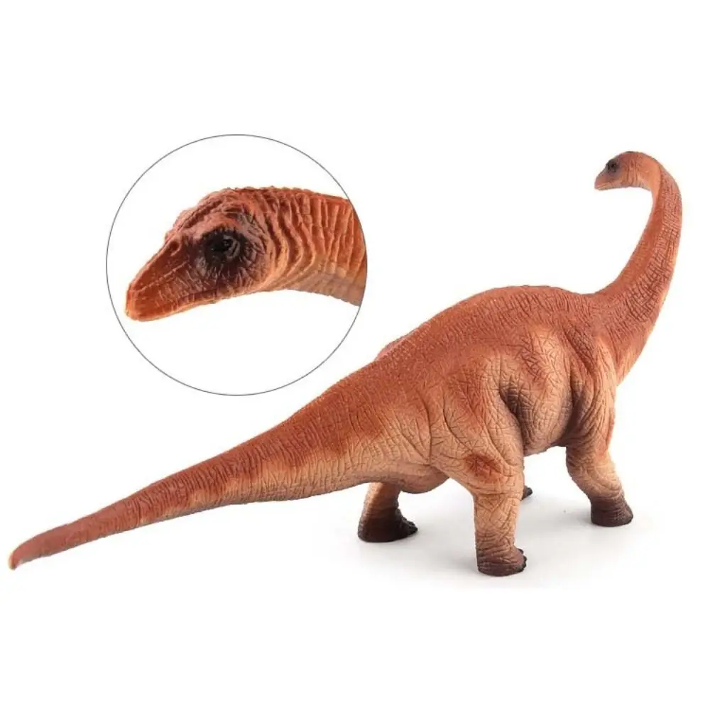Modelo de Dinosaurio Herbívoro, Figuras de Acción de Dinosaurios Realistas Simuladas, Decoración del Hogar, Colección Educativa de Dinosaurios Jurásicos
