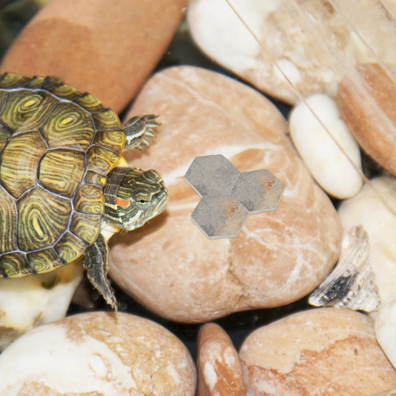 

10pcs Natural Rock Slices Aquarium Decor Fish Tank Stones Realistic Landscaping For Turtle Habitats Reptile Terrariums Amphibian
