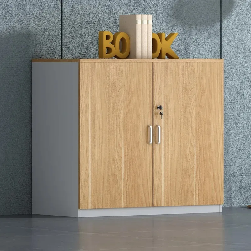 DSA   document low cabinet, file locker, office wooden office low cabinet wholesale