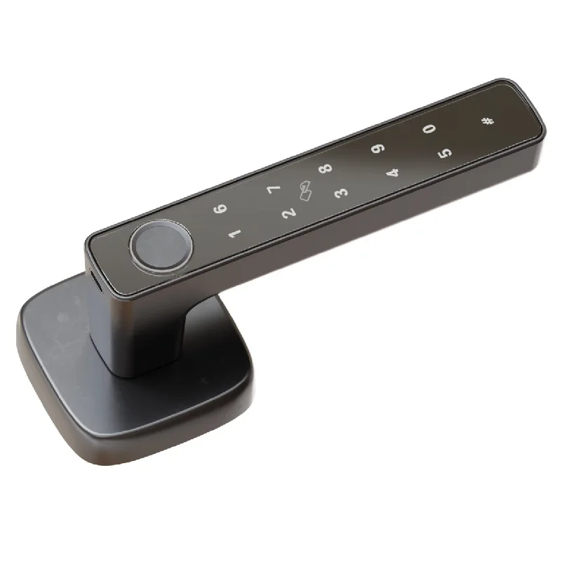 Three Rods and One Grip Open Indoor Handle Wooden Door All-through Lock Anti-theft Fingerprint Handle Graffiti Smart Door Lock