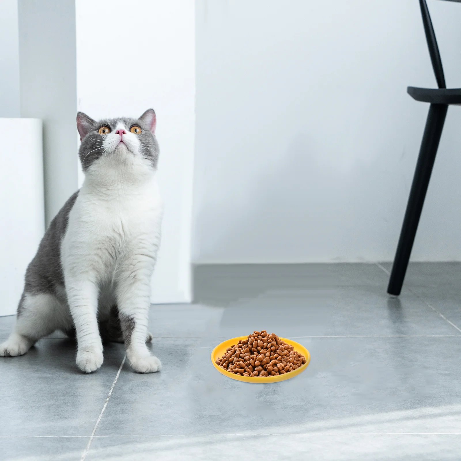 

Ceramic Cat Bowl Large Capacity Smooth Surface Easy to Clean Pet Feeding Dish for Cats Dogs Kitten Food Bowl Household Pet