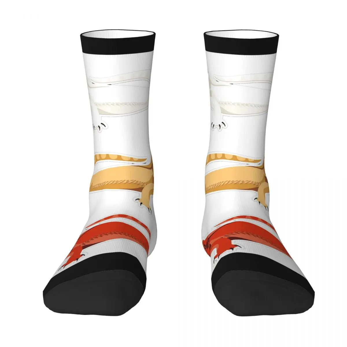 

Bearded Dragon Stickers Pack Socks Harajuku Super Soft Stockings All Season Long Socks Accessories for Unisex Christmas Gifts