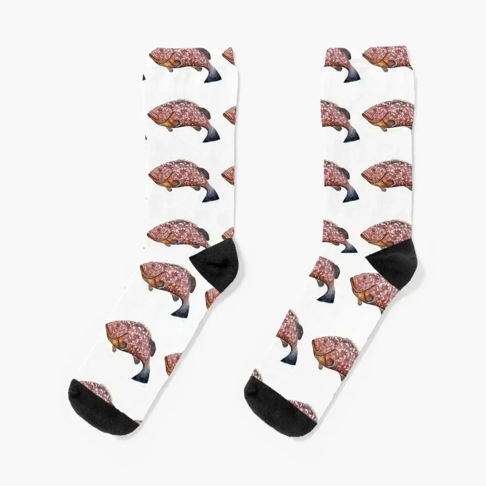 Dusky grouper or merou Socks floral gifts sheer moving stockings Ladies Socks Men's