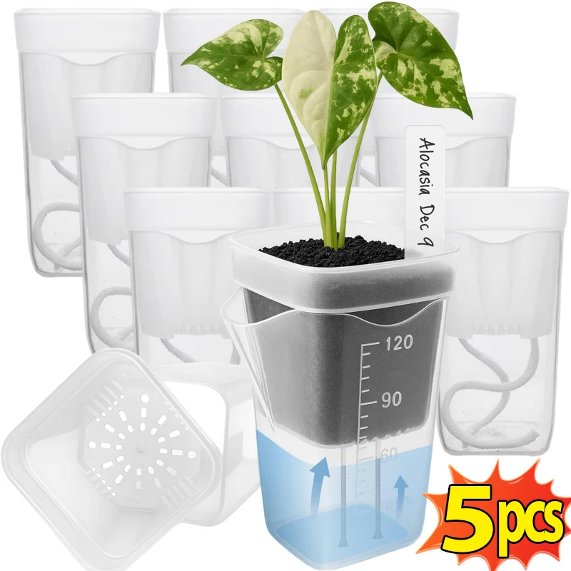Self Watering Double Layer Plant Pots Mini Translucent Plastic Planters Dry Wet Separation Garden Seedling Planting Flowerpot