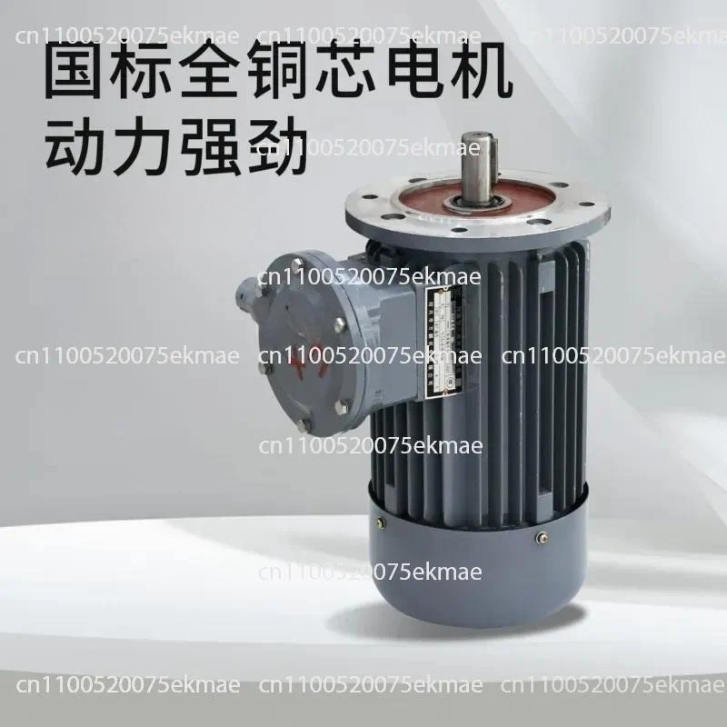 Motor explosion-proof three-phase asynchronous motor BT4 protection grade national standard motor