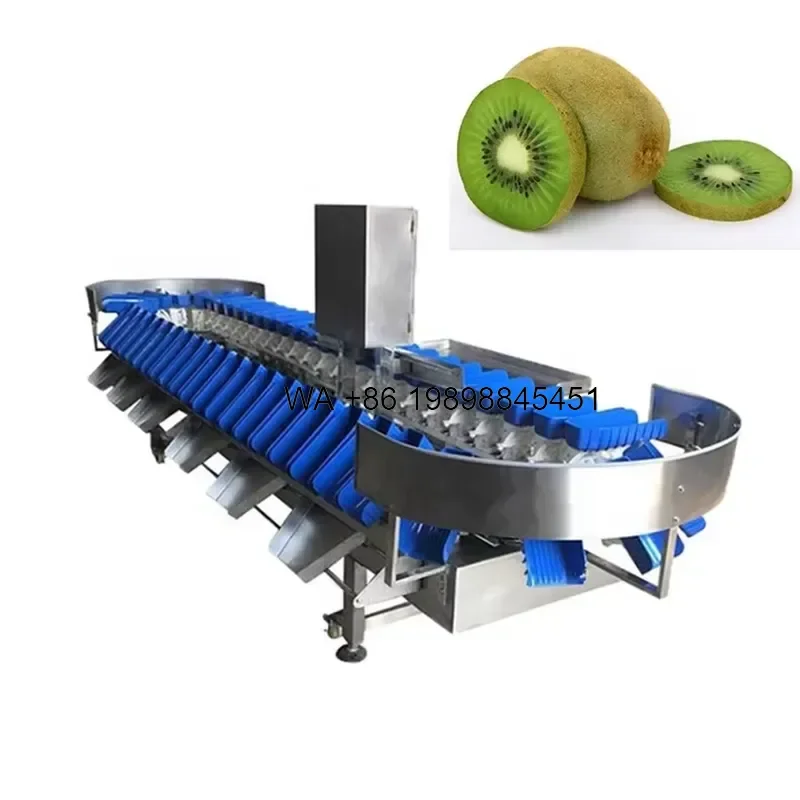 Wmwmnu for THRIVE THST-7 Live Lobster Sorting Fruit Vegetable Durian Avocado White Asparagus Weight Sort Grade