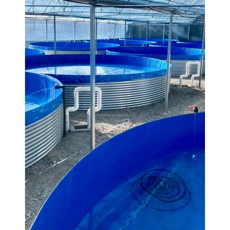 Commercial Durable Fish Farming Tanks with Customizable Complete Aquaculture Equipment for Fish Pond for Fish Farming