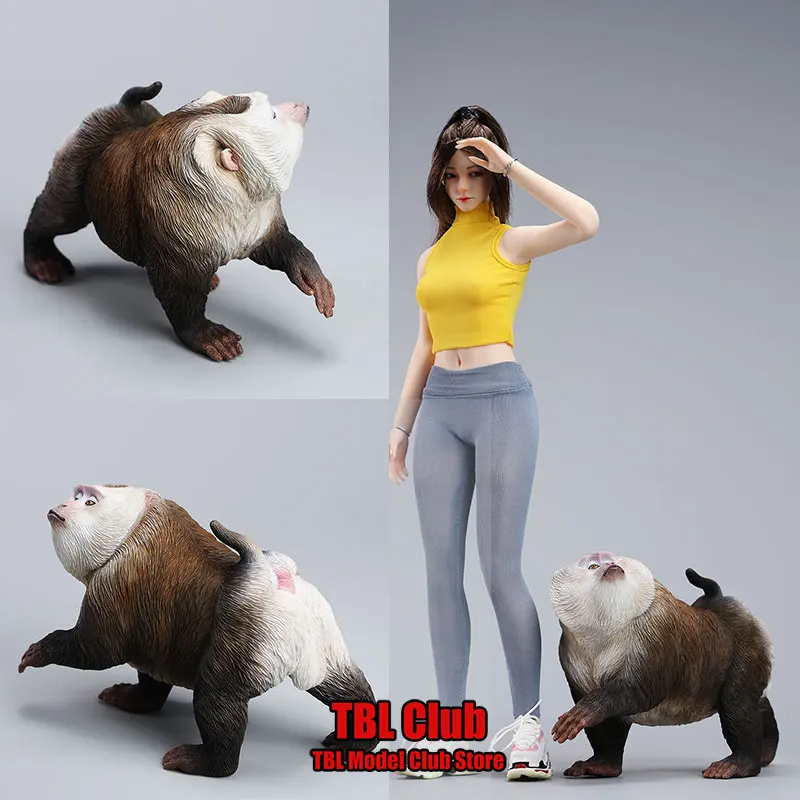 JXK250 High 10cm Micro Static Northern Pigtail Macaque Simulated Animals Model Accessories Fit 12inch Action Figure Doll