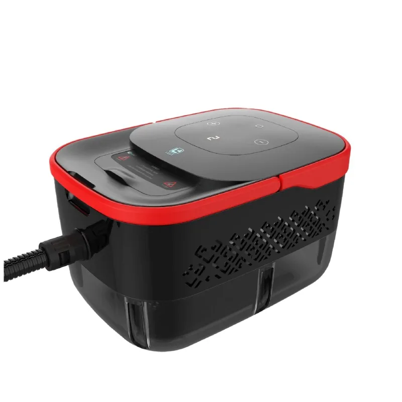Professional Portable Household Steam Cleaner 2500W High-Temperature Electric Power Source 0-15s Heating Time for Car Commercial