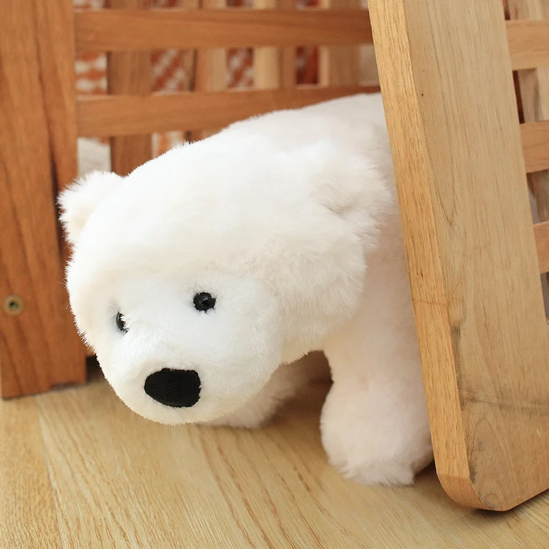 Oso Polar de 22cm para niños, juguete de peluche, almohada, oso Polar, oso blanco puro, muñeca de tela suave, juguetes para niños, regalos de cumpleaños