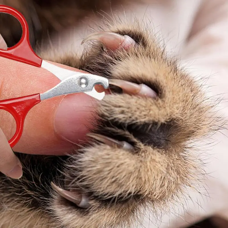 Cat Nail Scissors Pet Dog Nail Clippers Toe Claw Trimmer Professional Pet Grooming Products For Small Puppy Dogs Cat