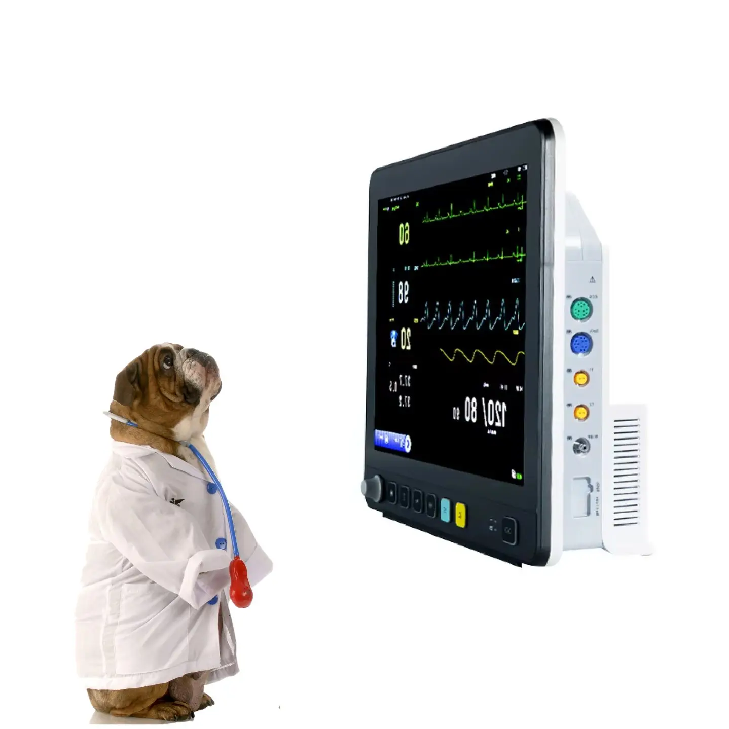 

Pet surgical vital-sig-ns multi-parameter mo-ni-tor veterinary medical mo-nit-oring veterinary