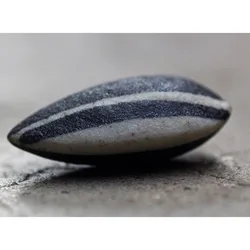 Ai Weiwei-20 개 * 도자기 해바라기 씨앗 테이트 모던 런던