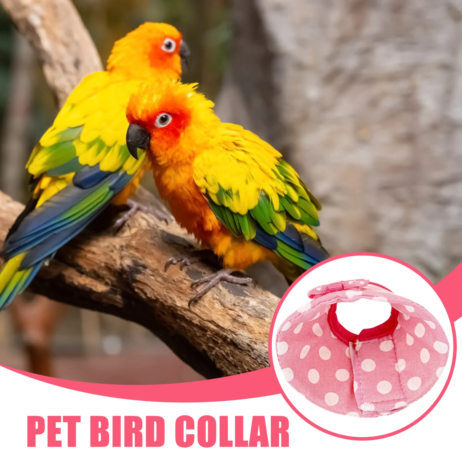 

AntiBiting Collar Bird Parrot Protective Neck Cone PreventPecking Wounds PromoteHealing SafeDurable Practical PetSupplies
