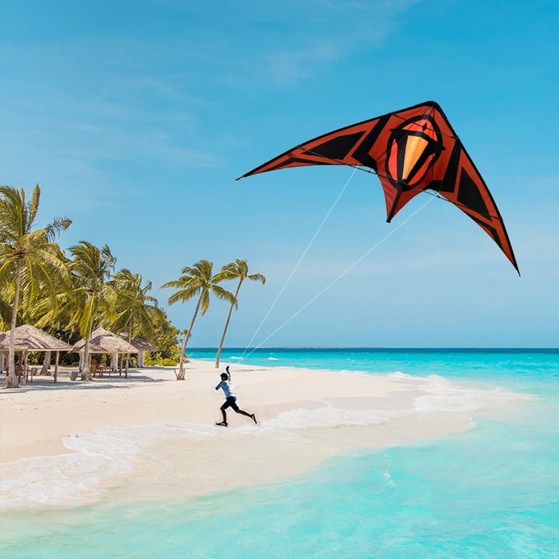 Aquilone sportivo per adulti da esterno, aquilone triangolare grande, aquilone acrobatico a doppia linea di alta gamma, facile da pilotare, include linea di lancio