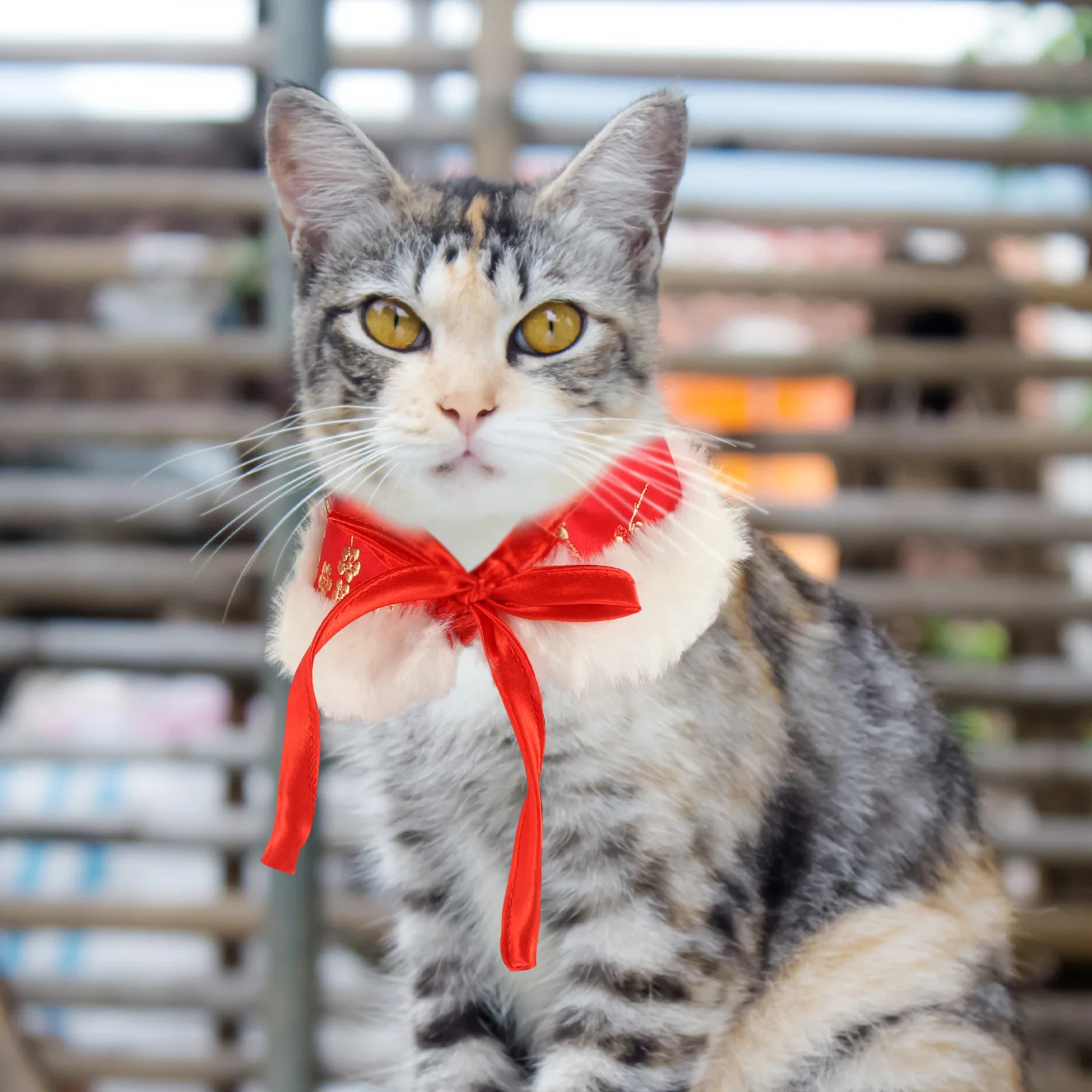 

Fancy Collar Winter Warm Necklace for Pets New Year Party Chinese Style Dog Cat Accessories Pet Supplies Holiday Safe
