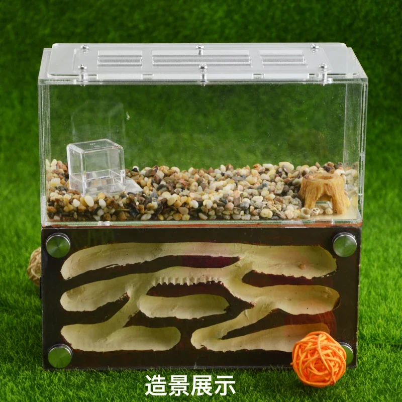 shiwang-ant-house-new-3d-gypsum-nest-underground-city-nest-pet-breeding-and-breeding-moisturizing-nest
