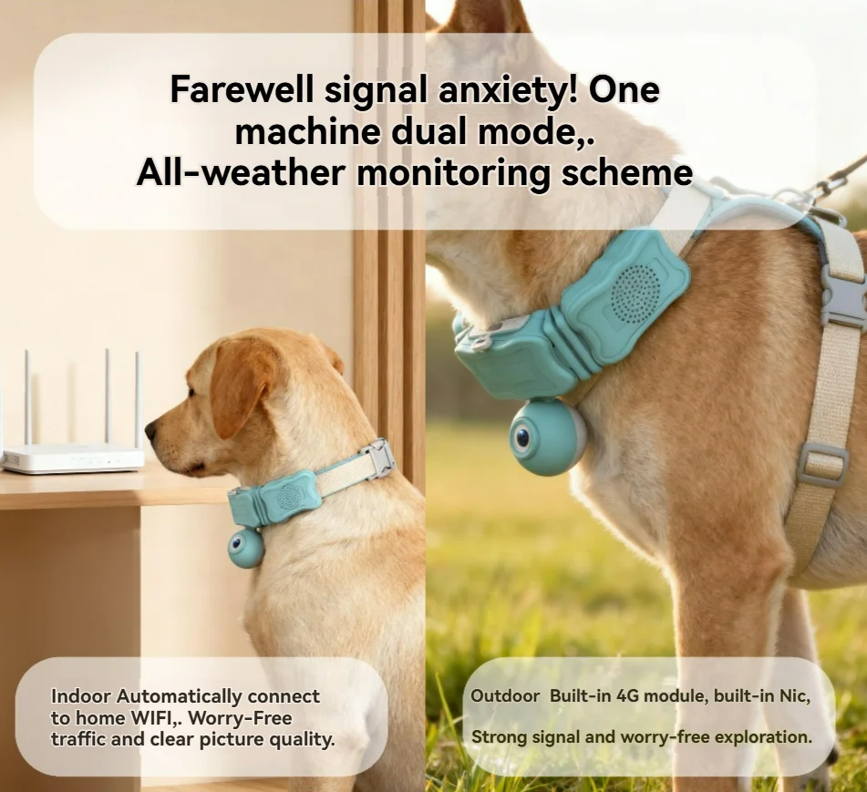 2025 nuevo GPS Collar de perro - Pet Activity Health Monitor Tracker reseña y precio