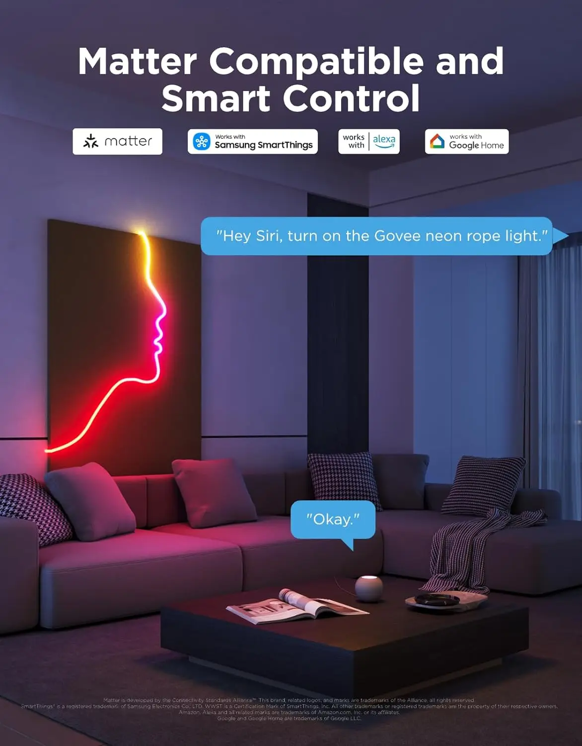 Smart Neon Rope Lights with RGBIC Effects, Works with Alexa & Google Assistant, 32.8ft for Home Decor