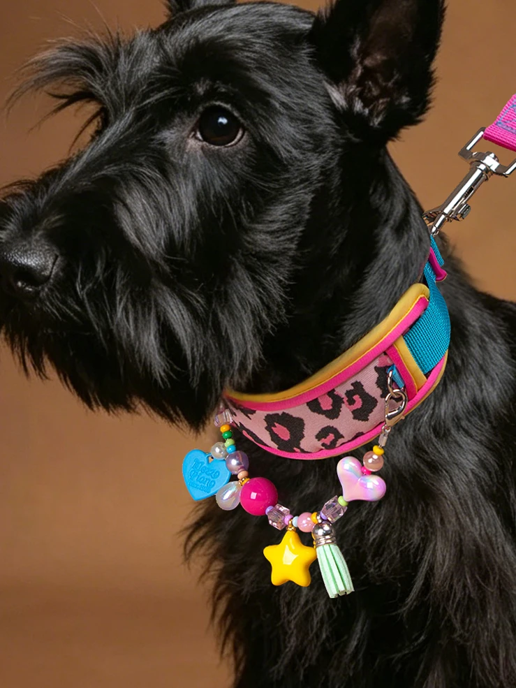 超耐久性のあるペット用リードセット-ソフトカラーのヒョウ柄ネックプロテクター付き-小型犬から中型犬用-猫用品-ペットアクセサリー