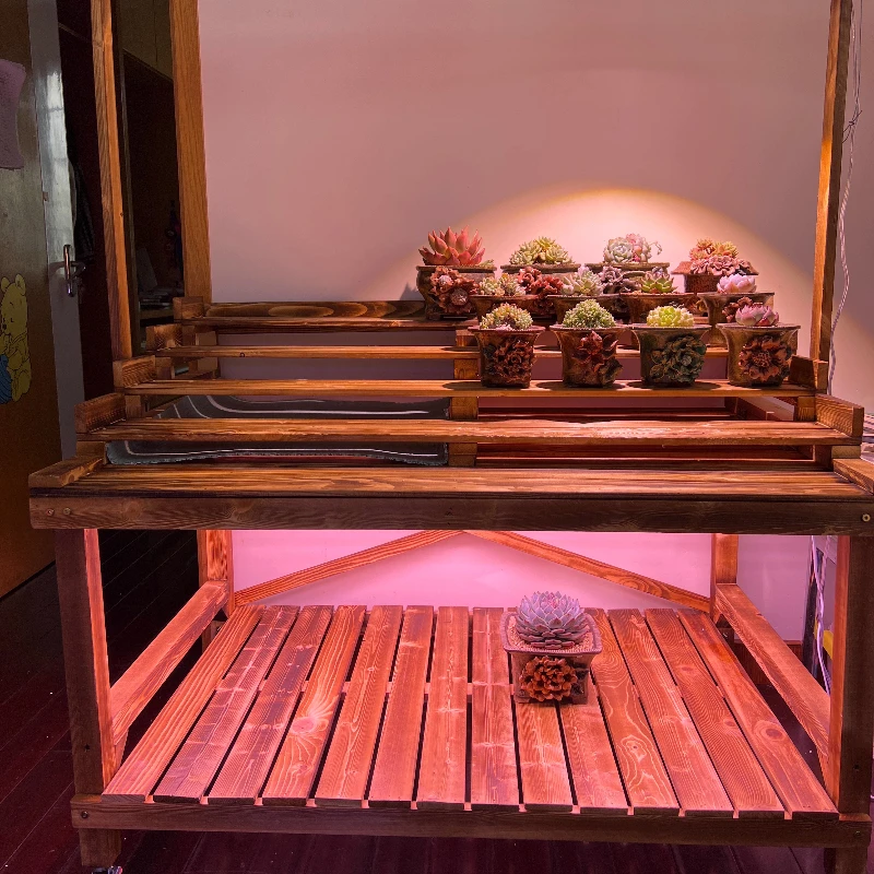 

Movable stepped flower stand with water tray with light stand fence, succulent flower stand