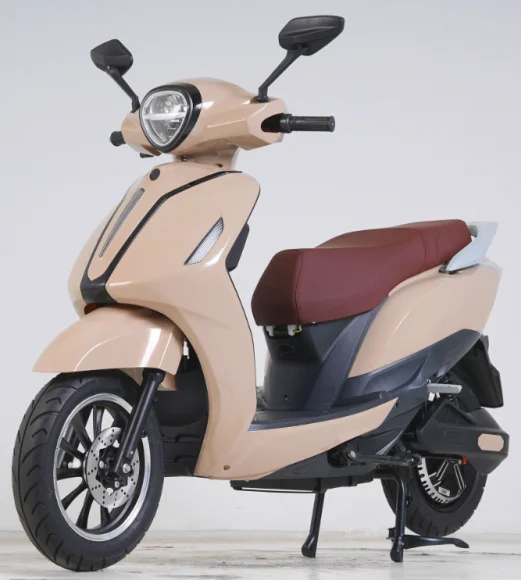 FL2 Elektroroller Moped Modell 1200W Hinterradnabenmotor Elektromotorrad