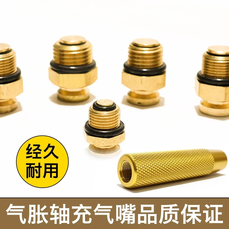 

Inflation shaft inflation nozzle made of pure copper core air nozzle pointed flat head Air nozzle expansion shaft