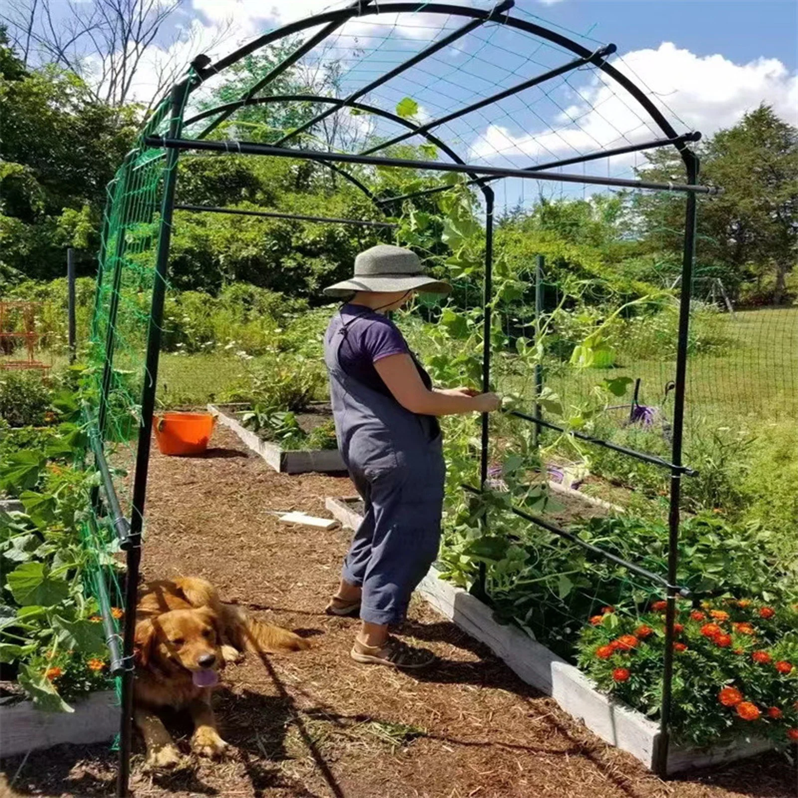 Tuingaas Plant Wijnbouwhouder Stevige Plant Trellis Ondersteuning Houder Komkommer Opknoping Meloen Klimnet Tuinbenodigdheden