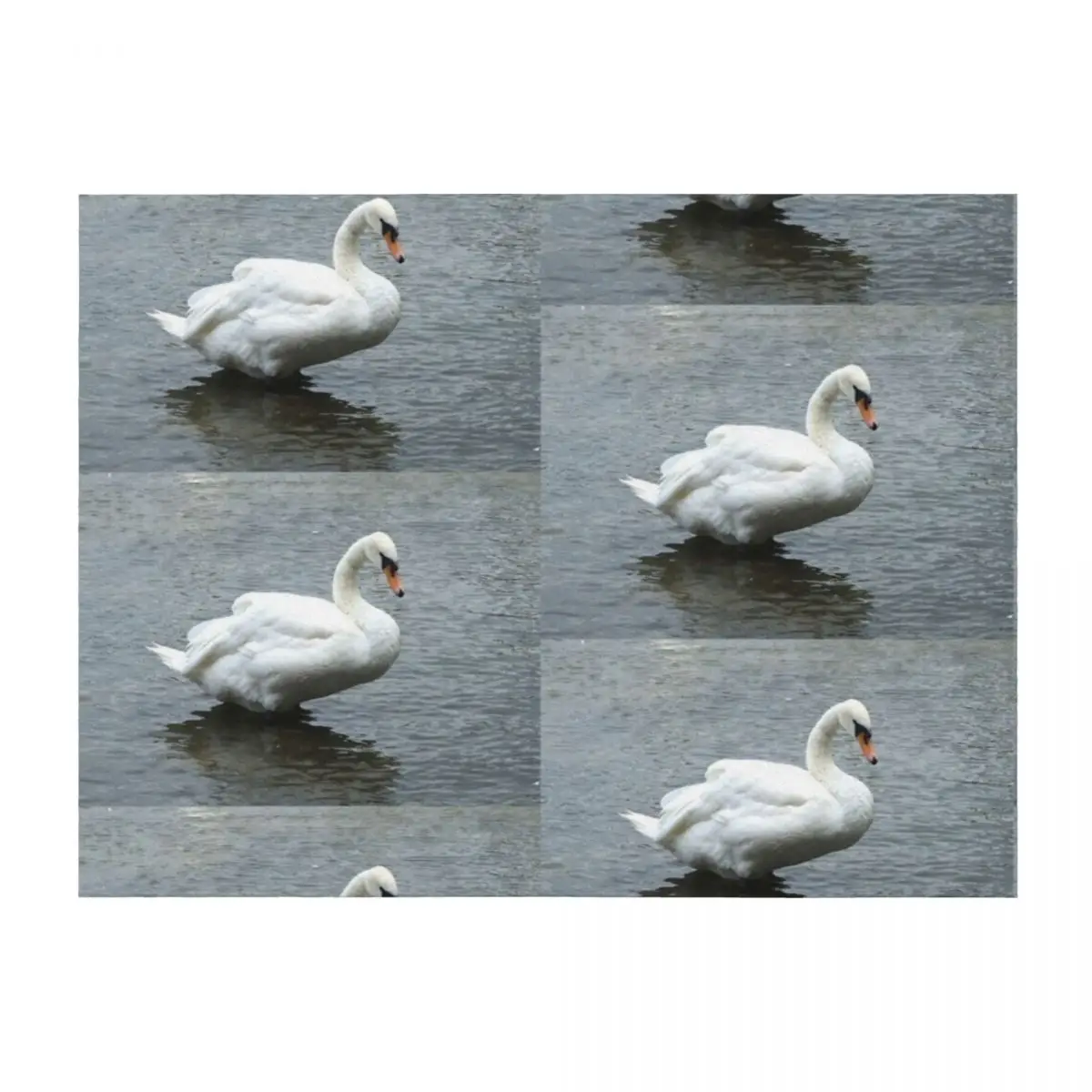 

The Swan, photograph Throw Blanket blankets ands sofa bed Furrys Travel Blankets