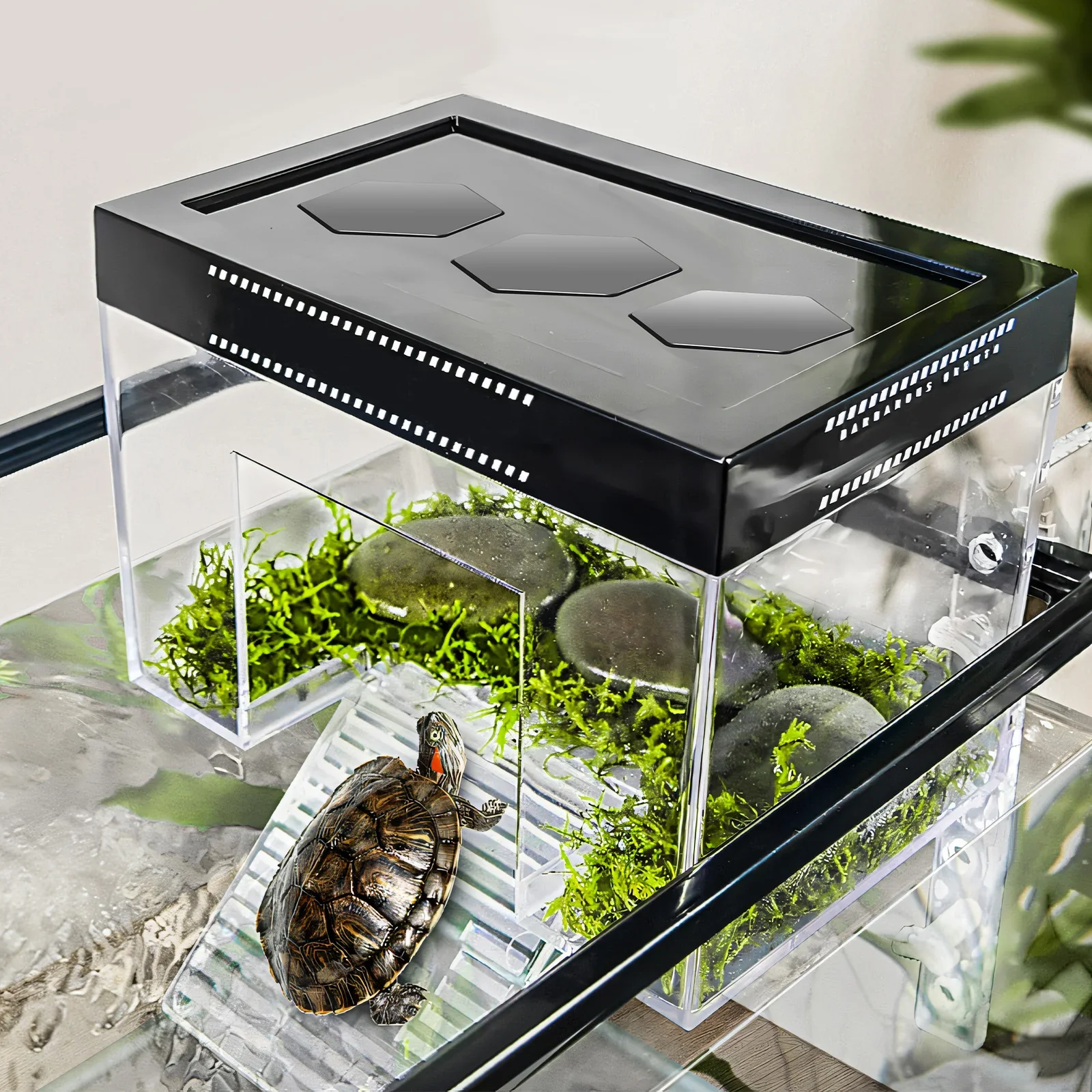 Plataforma para tomar el sol con forma de tortuga, altura ajustable, colgante, tierra para tomar el sol con rampa, acuario transparente, tanque de descanso para tortugas
