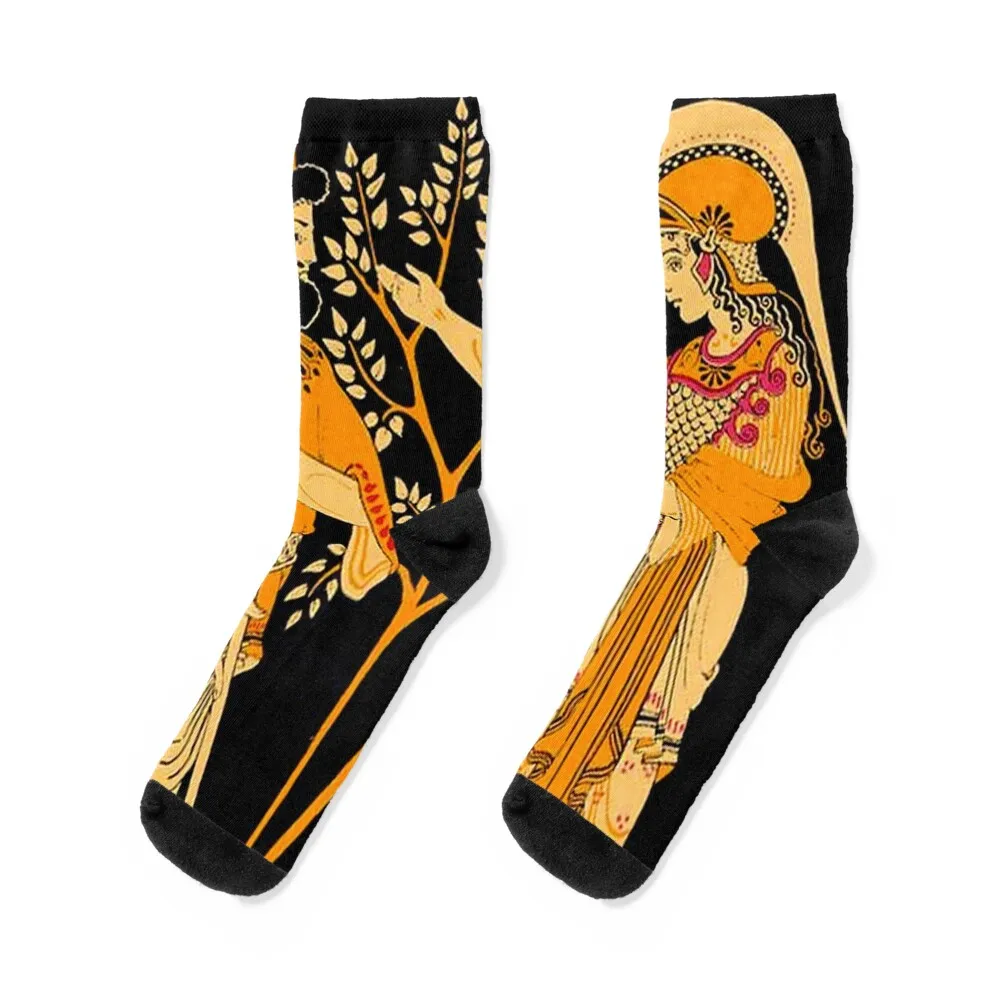 

POSEIDON and ATHENA : Vintage Greek God and Goddess Print Socks football golf Boy Child Socks Women's