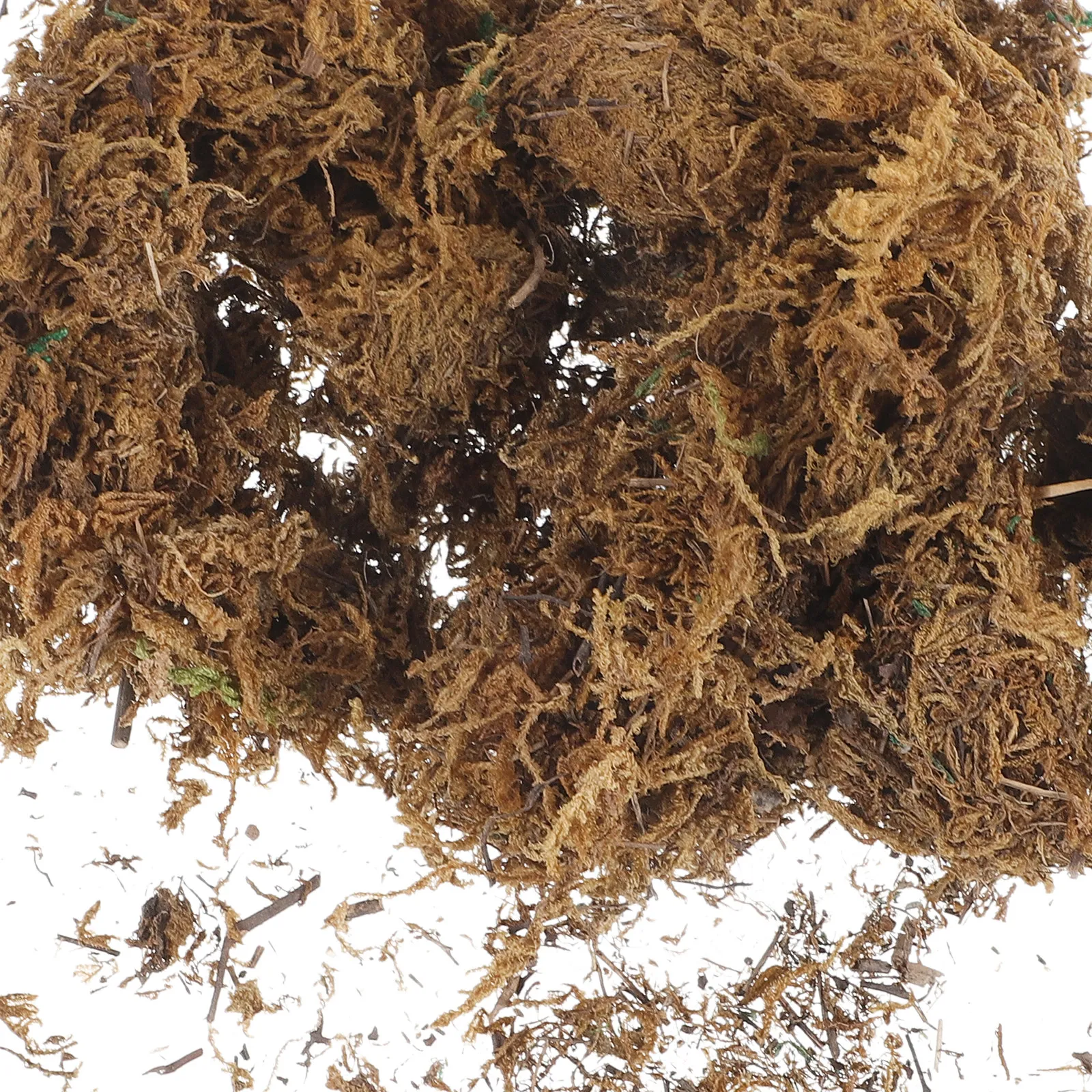 มอสเทียมสำหรับตกแต่งต้นไม้กระถ - Sphagnum Moss Dry บทวิจารณ์และราคา