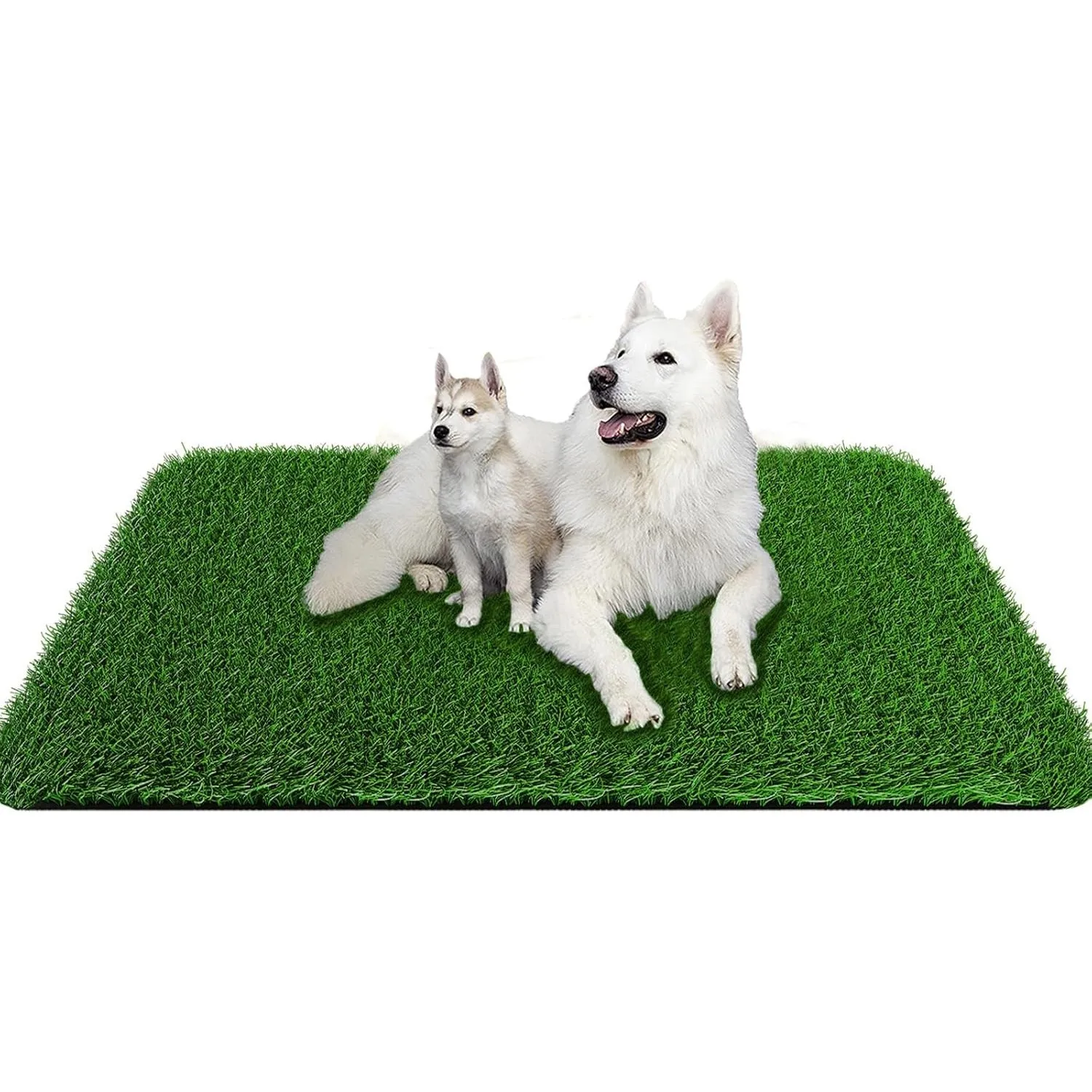 #34 Latest Pet Training Pads Offers